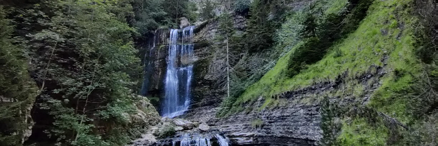 Bannière de ce canal