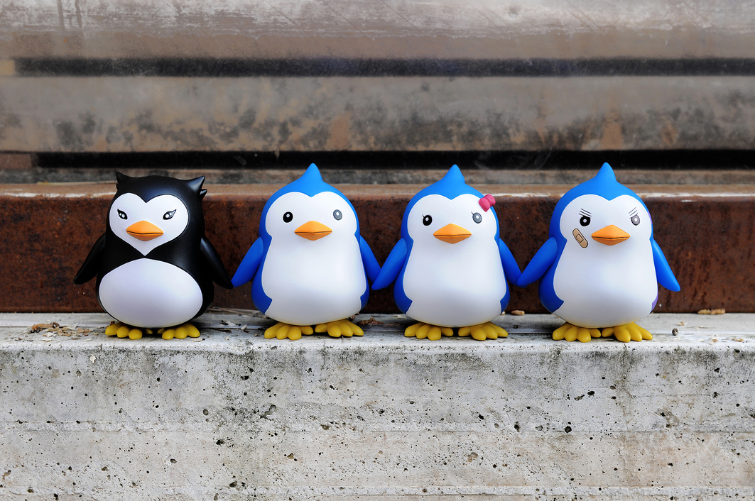 Header Image