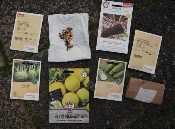 A collection of seed packets and some corns laid out on the ground. The packets include onions (Zwiebel), Kohlrabi, cucumber (Gurke, Zitronengurke), Popcorn Mais NegroCine and sweetcorn (Zuckermais). There are also one handmade paper seed envelopes labeled 'Gurke'.