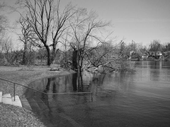 The image depicts the high water overflowing the bank of a river in black and white. In the foreground, a set of concrete steps with a metal handrail leads down to the water's edge. A wooden bench is situated on the grassy bank, facing the water. The river is calm, with reflections of the surrounding trees visible on the surface. Several leafless trees with bare branches are prominent, indicating a winter or early spring setting. In the background, a few houses are visible across the water, suggesting a residential area nearby. The sky is clear, and the overall atmosphere is tranquil and quiet.