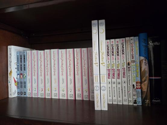 Photograph of a bookshelf. From left to right, the books are Seven Little Sons of the Dragon, Cowboy Bebop (3 books), Pretty Guardian Sailor Moon (10 books), Codename Sailor V (2 books), My Lovesick Life as a 90s Otaku (4 books), followed by four individual volumes and William T. Sherman's memoirs.