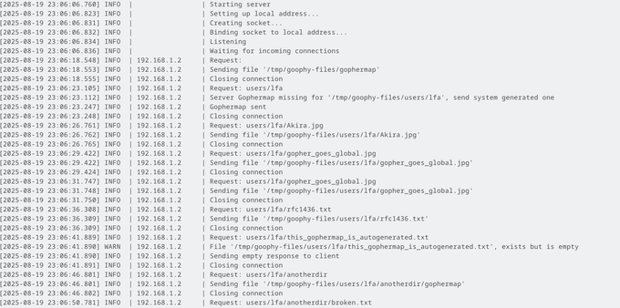 Screenshot of the output of Goophy's log file. It shows info messages, warning messages and error messages for different requests.