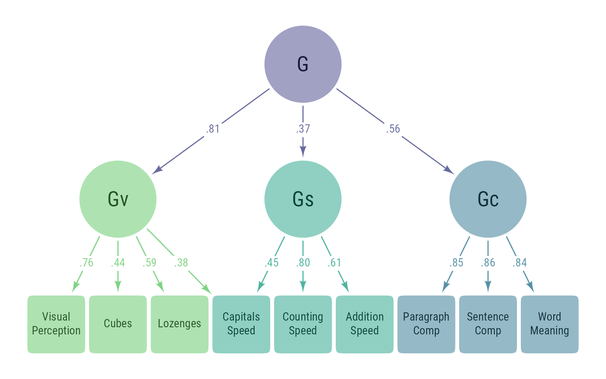 A path diagram with latent variables connected to a series of observed variables