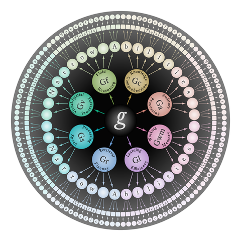 A hierarchical path diagram of cognitive abilities