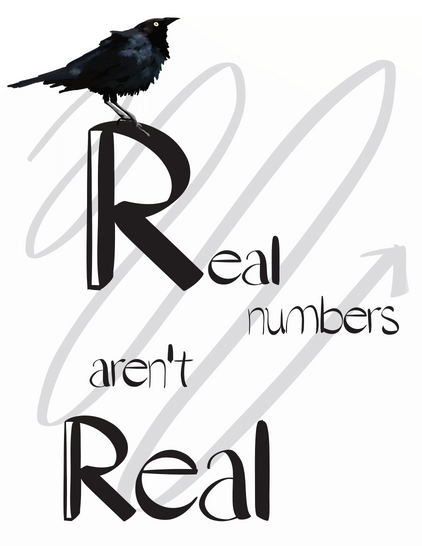 Real numbers aren't Real is written in a font where the R is the symbol for real numbers and a Brewer's black bird sits on the top of the first R. A diagonal curve going back and forth is in the background in a light grey. White background with black text.