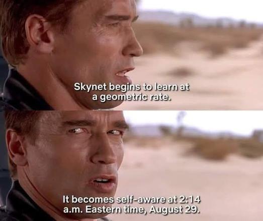 Arnold cyborg T2 meme