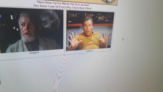 Wensite screenshot with Ben Kenobi and Capt Kirk