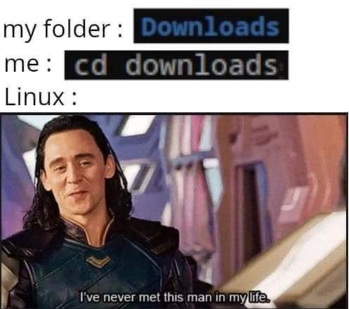 A meme showing a common Linux command line error. Top text says:

"my folder: Downloads"
"me: cd downloads"
"Linux:"

Below is an image of Loki from Marvel’s Thor movies saying, “I’ve never met this man in my life,” implying Linux doesn’t recognize the folder due to incorrect capitalization.