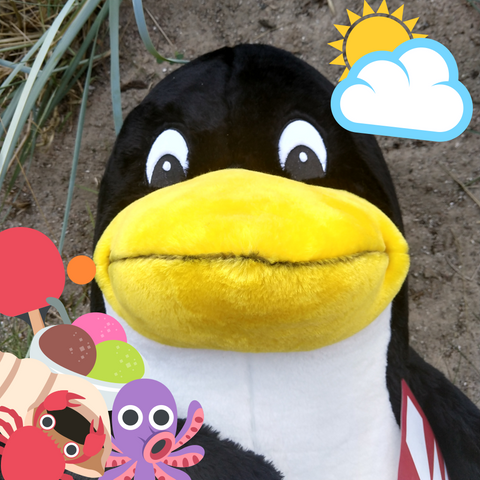 Ein Plüschpinguin-Portrait auf sandigem Untergrund mit Strandgras und Strand-Emojis