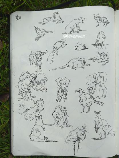 Black Fineliner on paper 

Loose sketches of animals
