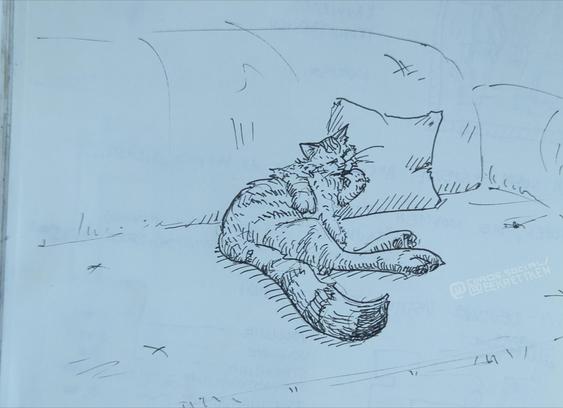 Black Fineliner on paper.

A cat lying on a couch, leaning onto a pillow and licking its paw.