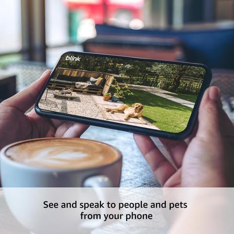 Featuring enhanced motion detection, protect your home inside and out with Mini 2 and Outdoor 4 smart security cameras.