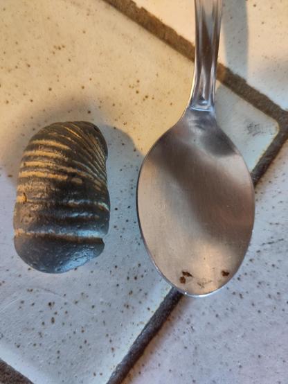 une pierre noire de la taille et forme d'une grosse larve, prise en photo à côté d'une cuillère.