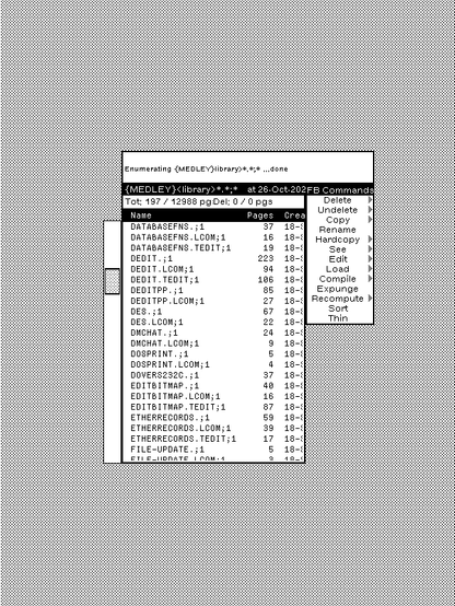 Screenshot of a portion of the black and white desktop of a 1980s graphical workstation environment. The desktop has a gray background pattern and one window with a white background and a title bar with white text on a black background. The window is a file browser with a main pane listing some files, status and input panes, and a command menu. The file list has a vertical scroll bar at the left edge.