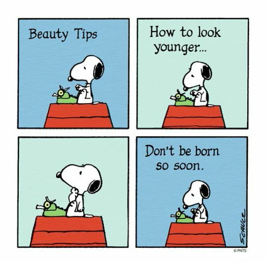 A peanuts strip featuring Snoopy with a typewriter on his doghouse. Above him are the words:
Beauty Tips
How to look younger...
Don't be born so soon.