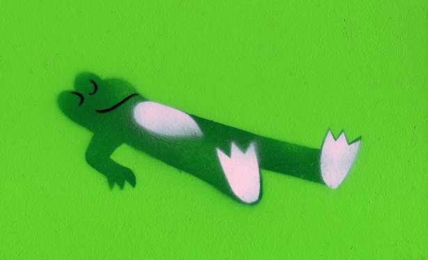 A painting by Davin Brainard of a beautiful, smiling frog lying on his back and sleeping against a bright green background.