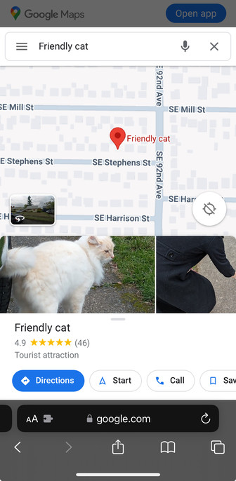 Screenshot of “Friendly Cat” tourist attraction in Portland, Oregon.