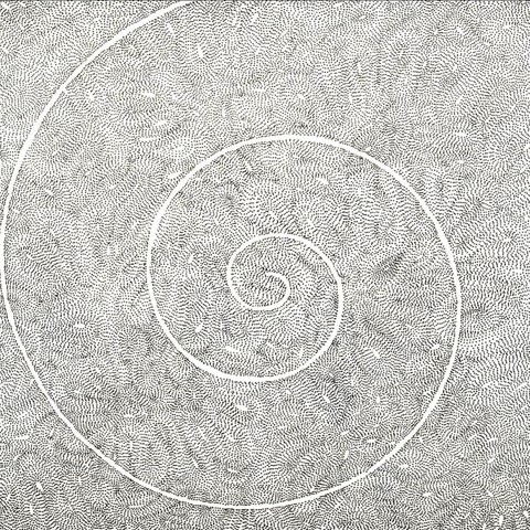 A closeup of the details in Marian Zazeela’s ink drawing. She uses a pointillist technique with black ink to depict hundreds of amoeba-like organisms inside a continuous spiral.