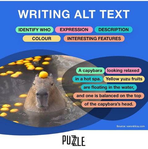 An infographic titled “How to Write Alt Text” featuring a photo of a capybara. Parts of alt text are divided by color, including identify who, expression, description, color, and interesting features. The finished description reads: “A capybara looking relaxed in a hot spa. Yellow yuzu fruits are floating in the water, and one is balanced on the top of the capybara’s head.”