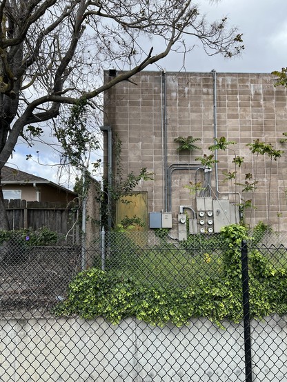 A color photo of the side of a brick industrial building with a lot of electrical and water meter panels and pipes. It abuts a duplex with an oak tree on the left. In front is a chain link fence with overgrown shrubbery.