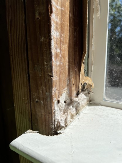 A closeup photo in color of a corner of a windowsill that’s been exposed down to the beams.