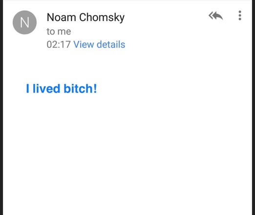 Screenshot of email app showing email from Noam Chomsky to me test of email “I lived bitch!”