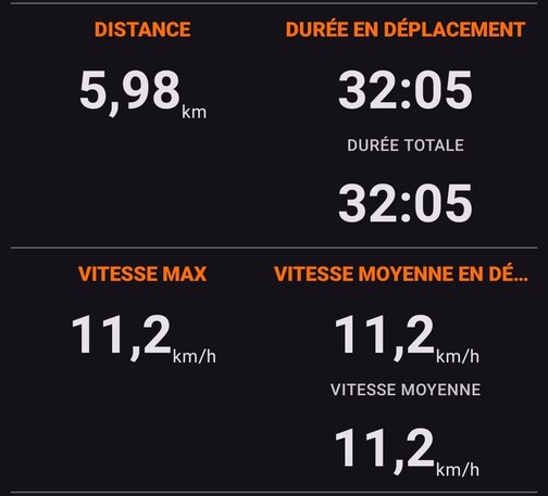 Score de course : 
Distance : 5,98 km
Durée en déplacement : 32:05
Vitesse max : 11,2 km/h
Vitesse moyenne : 11,2 km/h
