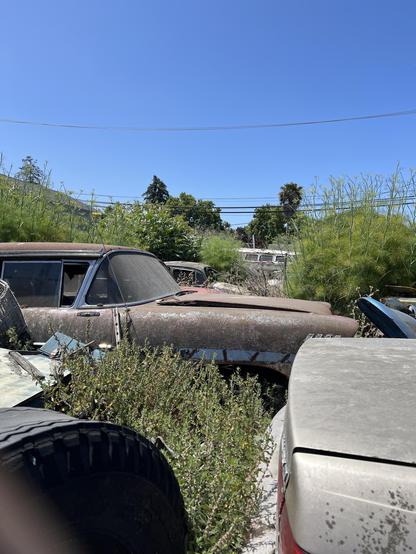 Looking through a chain link fence at some rusty old cars and weeds in a junkyard.
