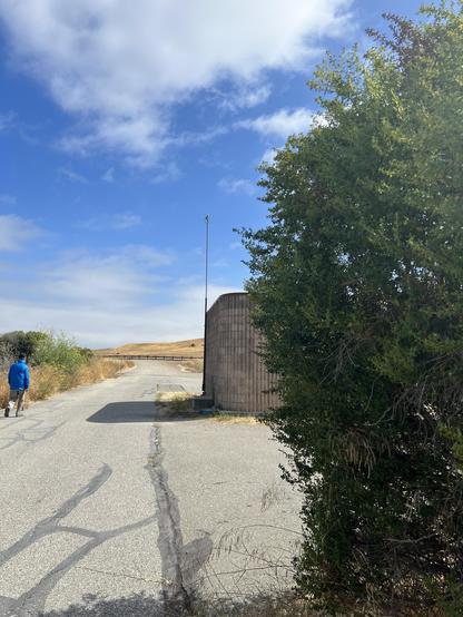 Standing behind a small tree (or a large shrub, if you prefer) on a path facing an electrical shack against a brilliant blue sky with fluffy white clouds. To the left a man is walking away into the distance.