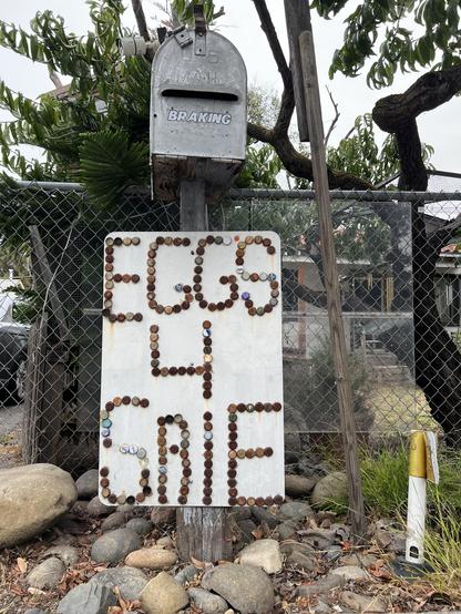 Photo of a large wooden sign painted white with the words Eggs 4 Sale spelled out using old bottle caps attached to a mailbox post in somebody’s front yard.