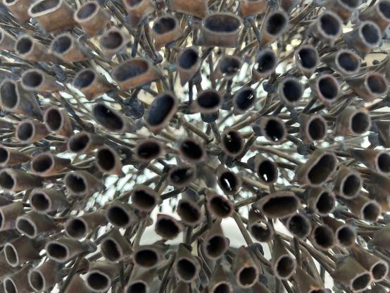 Closeup of an untitled sculpture which from afar looks like a nut tree. It’s made of hundreds of beryllium copper rods with slightly flattened pods attached to the ends.