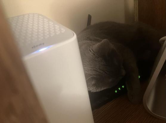 A gray cat is asleep on a router behind a computer  