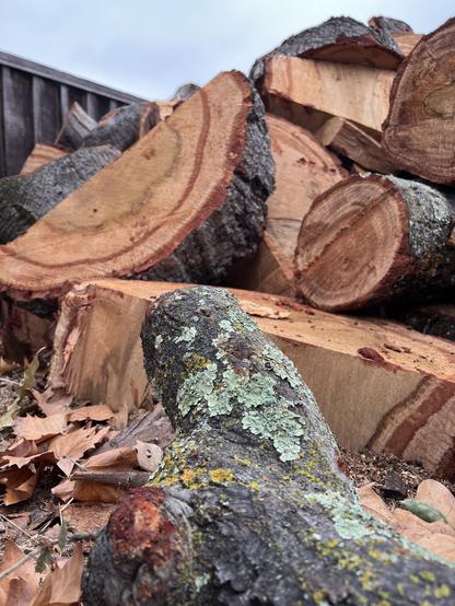 What was once a tree is now a haphazard pile of firewood.