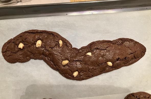 Extra Nutella cookie dough was rolled into a nice thin log, a few peanuts were added, and some reshaping was done. The result, a joyous Yule Log 💩
