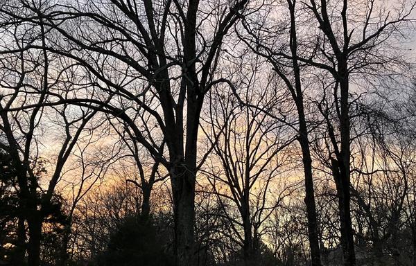 The sun sets over Memphis on December 28, 2025. The trees are all bare, having finally dropped all their mess. A cold front is coming; it’s 73 degrees out and tomorrow’s high will only be 37.