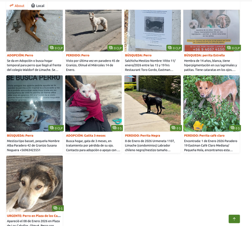 A flohmarkt instance that hows pictures of animals with Spanish descriptions, for adoption