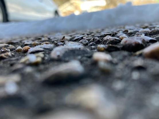 A small patch of aggregate cement driveway peeks out from a 2” layer of solidified sleet pellets and ice in Memphis, Tennessee, January 28, 2026.
