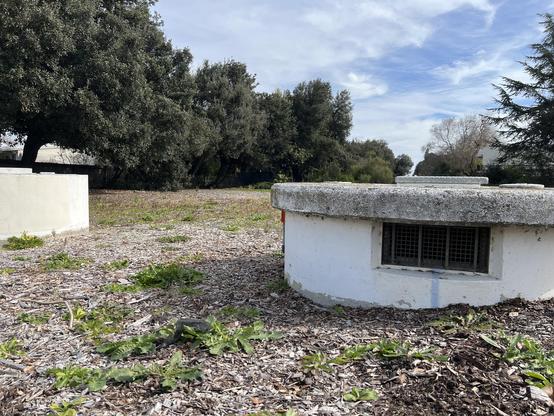 Honestly don’t know what these concrete structures are but they look like something from Star Wars after all the snow on Hoth has melted. Are they cisterns?