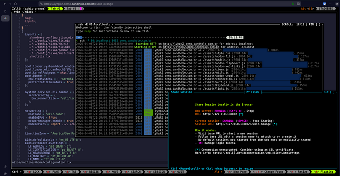 A browser running a Zellij session over HTTPS under a subdomain of demo.sandhole.com.br. Across the different panes and tabs, you can see a Neovim editor, the Sandhole logs, and the Zellij share session window.