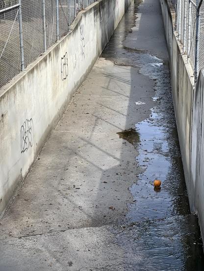 A mostly dry storm creek punctuated by a lonely orange ball waiting for its ultimate destination.