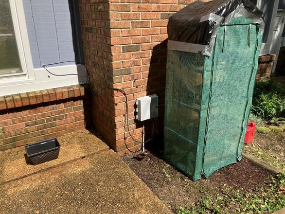 A small plastic greenhouse from Aldi sits a foot out from my chimney. The mass of English ivy from the previous photo is gone, ripped out and transplanted to a better place in the yard. The window formerly blocked by the greenhouse is unobstructed. Everything looks tidier than before.