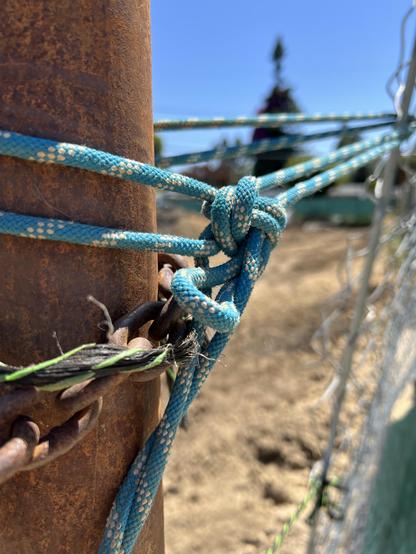 This blue bungee cord is doing a lot of work holding a rusted gate shut.