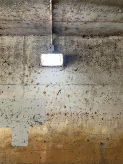 A cobwebbed industrial lamp illuminates the area inside an underpass for bikes and pedestrians.